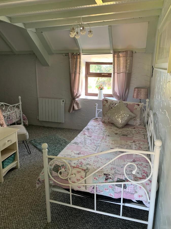 Byre Cottages&Lakeside caravan Cardigan Eksteriør bilde