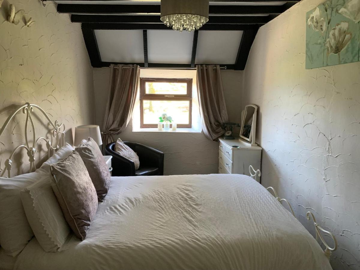 Byre Cottages&Lakeside caravan Cardigan Eksteriør bilde